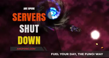 Are Spore Servers Still Active? Exploring the Current Status