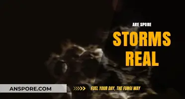 Unveiling the Truth: Are Spore Storms Real or Myth?