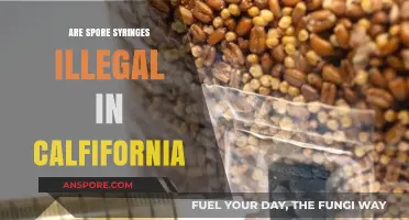 Are Spore Syringes Legal in California? Understanding the Current Laws