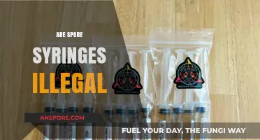Are Spore Syringes Illegal? Understanding Legal Boundaries and Risks