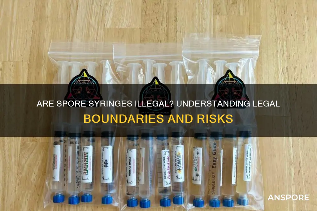 are spore syringes illegal