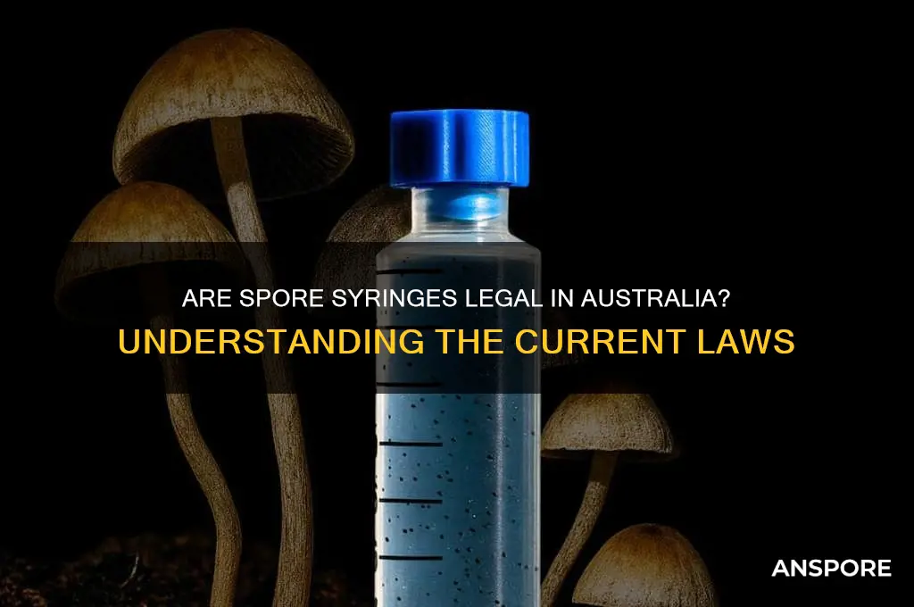 are spore syringes legal in australia