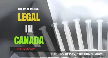 Are Spore Syringes Legal in Canada? Understanding the Current Laws