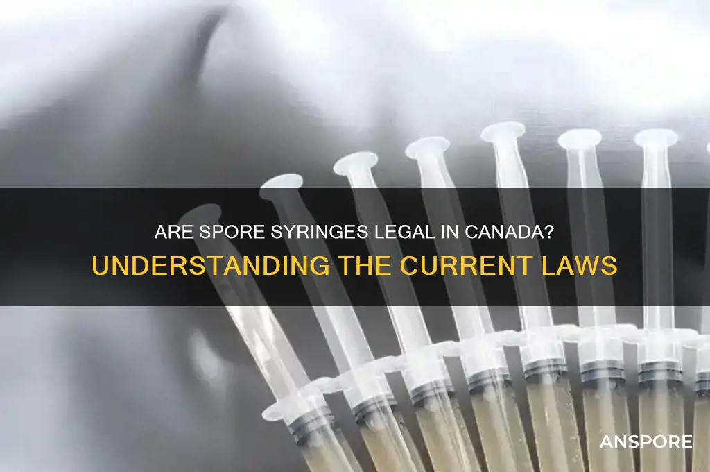 are spore syringes legal in canada