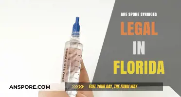 Are Spore Syringes Legal in Florida? Understanding the Current Laws