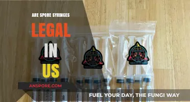Are Spore Syringes Legal in the US? Understanding the Laws