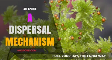 Exploring Spores: Nature's Ingenious Dispersal Mechanism for Survival and Spread