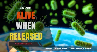 Are Spores Alive? Unveiling the Mystery of Their Release and Viability