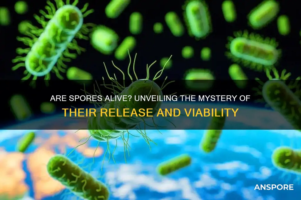are spores alive when released
