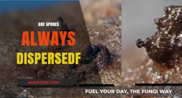 Are Spores Always Dispersed? Unraveling Nature's Seed Scattering Secrets