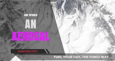 Are Spores an Aerosol? Exploring the Science Behind Airborne Particles