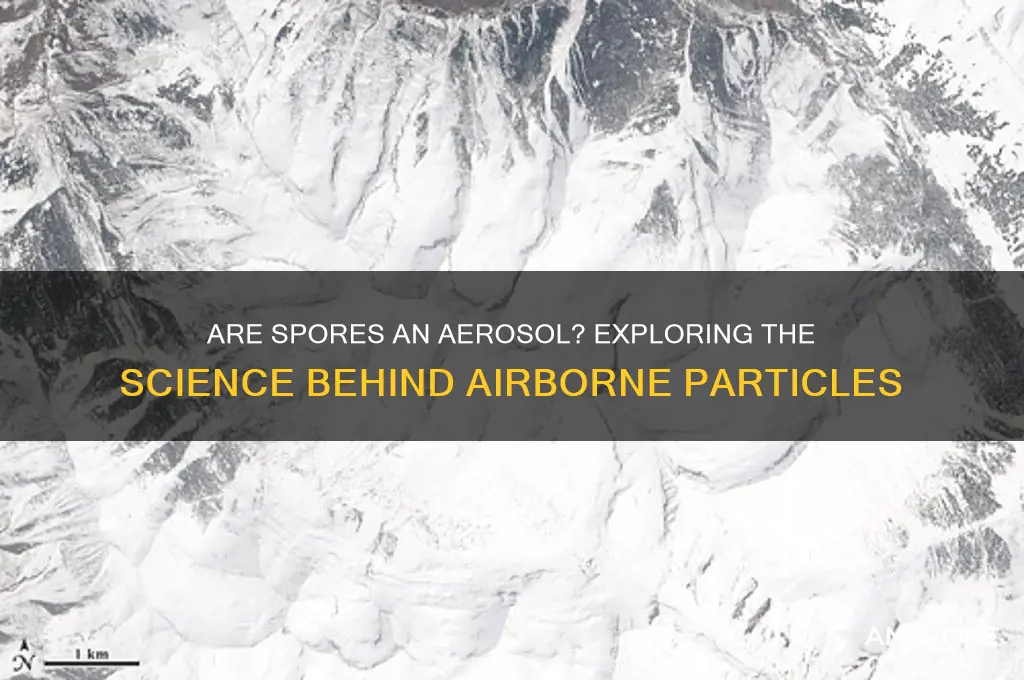 are spores an aerosal