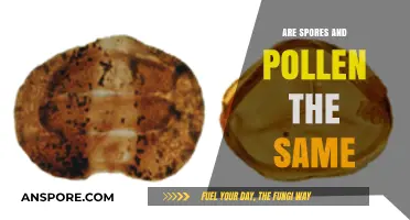 Spores vs. Pollen: Unraveling the Differences in Plant Reproduction