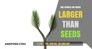 Are Spores Larger Than Seeds? Unveiling the Size Difference