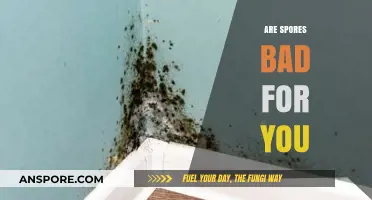 Are Spores Harmful? Uncovering the Truth About Their Impact on Health