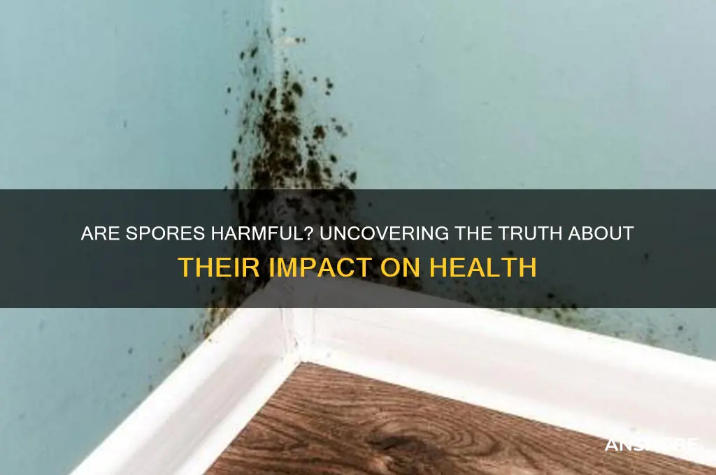 are spores bad for you