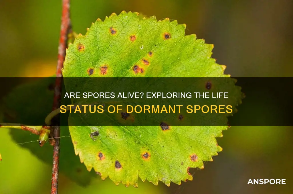 are spores considered alive