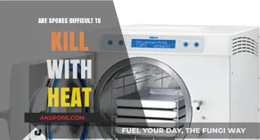 Can Heat Effectively Eliminate Spores? Unraveling the Toughness of Spores