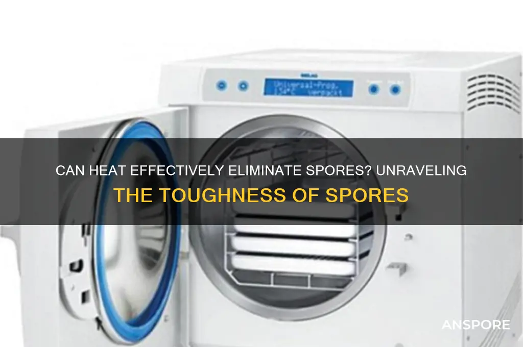 are spores difficult to kill with heat