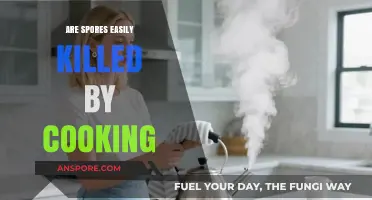 Can Cooking Effectively Kill Spores in Food? Facts and Myths
