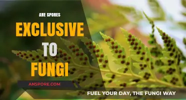 Beyond Fungi: Exploring the Diverse World of Spore-Producing Organisms