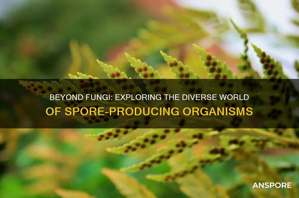 are spores exclusive to fungi