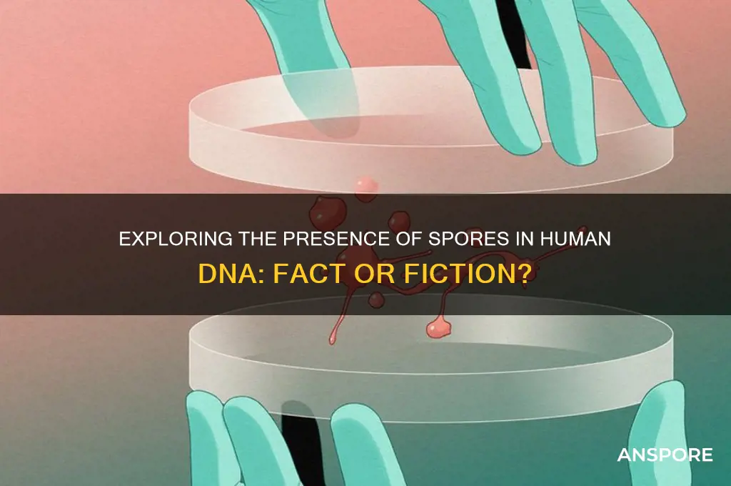 are spores found in human dna