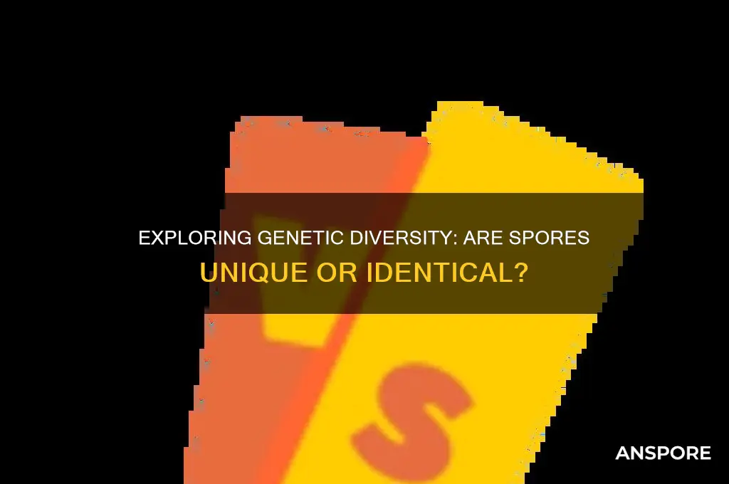 are spores genetically different from one another