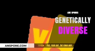 Exploring the Genetic Diversity of Spores: Unveiling Nature's Hidden Complexity