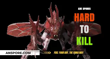 Are Spores Indestructible? Unraveling the Toughness of These Microbial Survivors