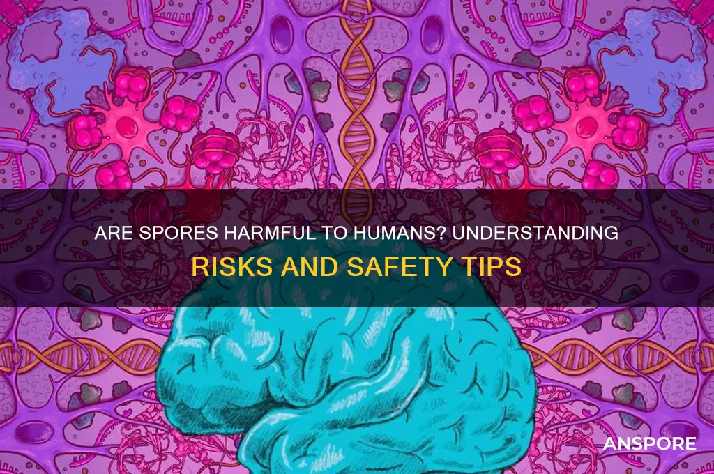 are spores harmful to humans