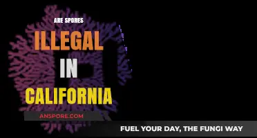 Are Spores Illegal in California? Understanding the Legal Landscape