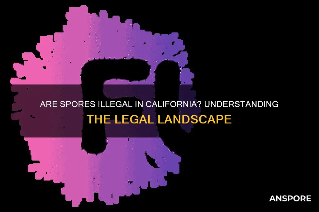 are spores illegal in california