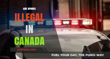 Are Spores Legal in Canada? Understanding the Current Laws and Regulations