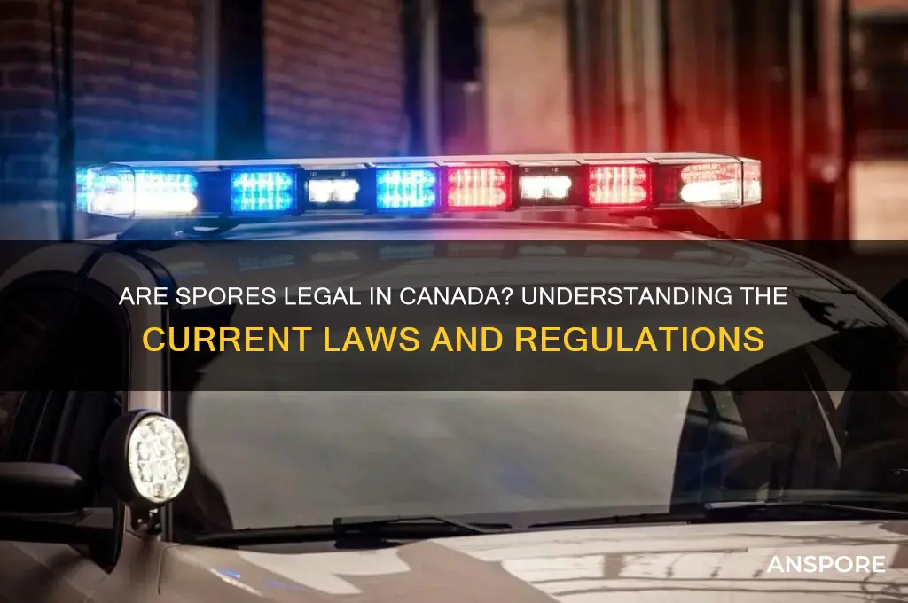 are spores illegal in canada