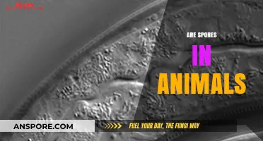 Exploring the Presence and Role of Spores in Animal Biology