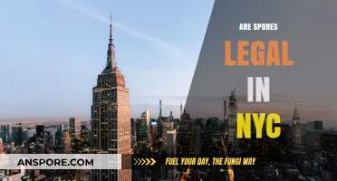 Are Spores Legal in NYC? Understanding the Current Laws and Regulations