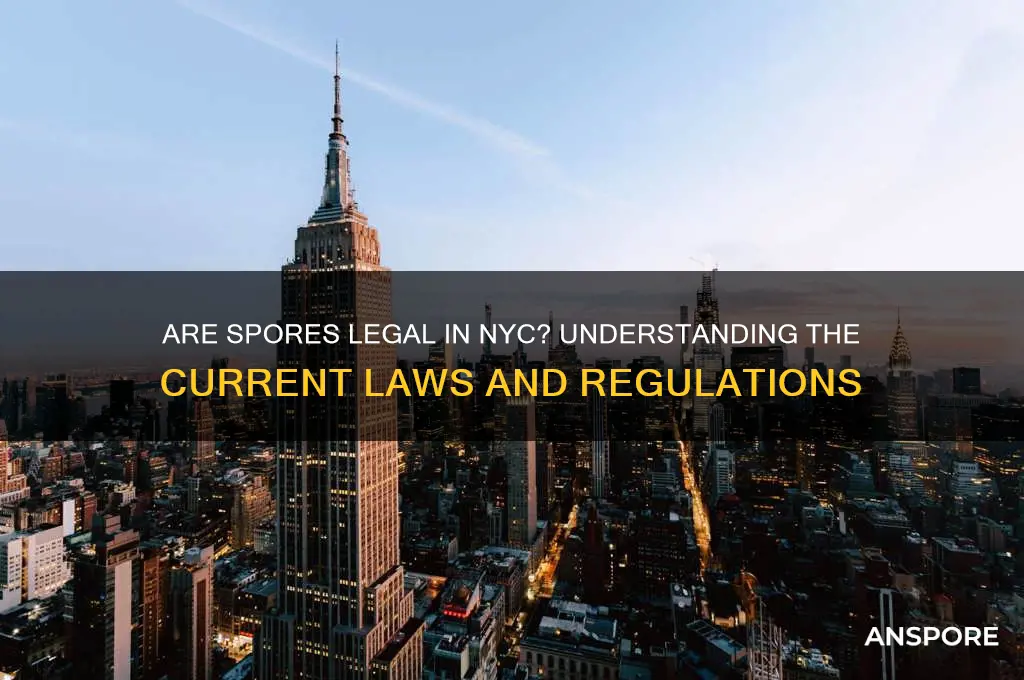 are spores legal in nyc