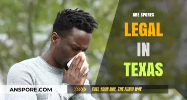 Are Spores Legal in Texas? Understanding the Current Laws and Regulations