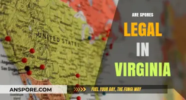 Are Spores Legal in Virginia? Understanding the Current Laws and Regulations