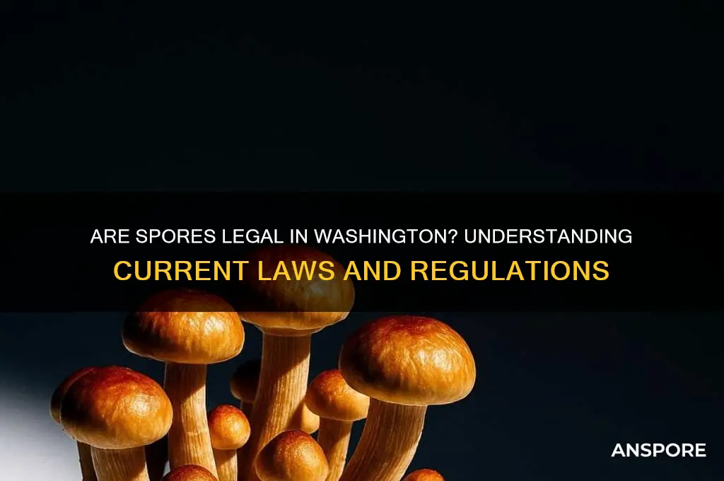 are spores legal in washington