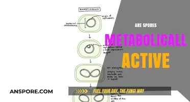 Are Spores Metabolically Active? Unraveling the Dormant Life Cycle Mystery