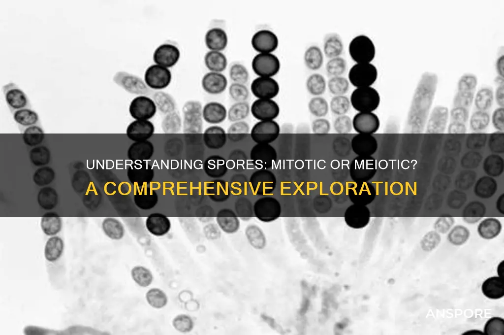 are spores mitotic or meiotic