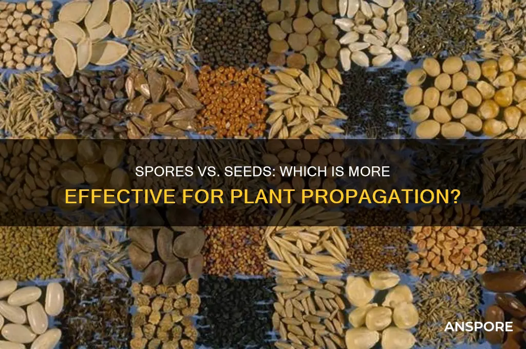 are spores more effective than seeds