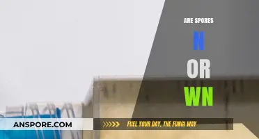 Are Spores N or WN? Unraveling the Mystery of Their Nature