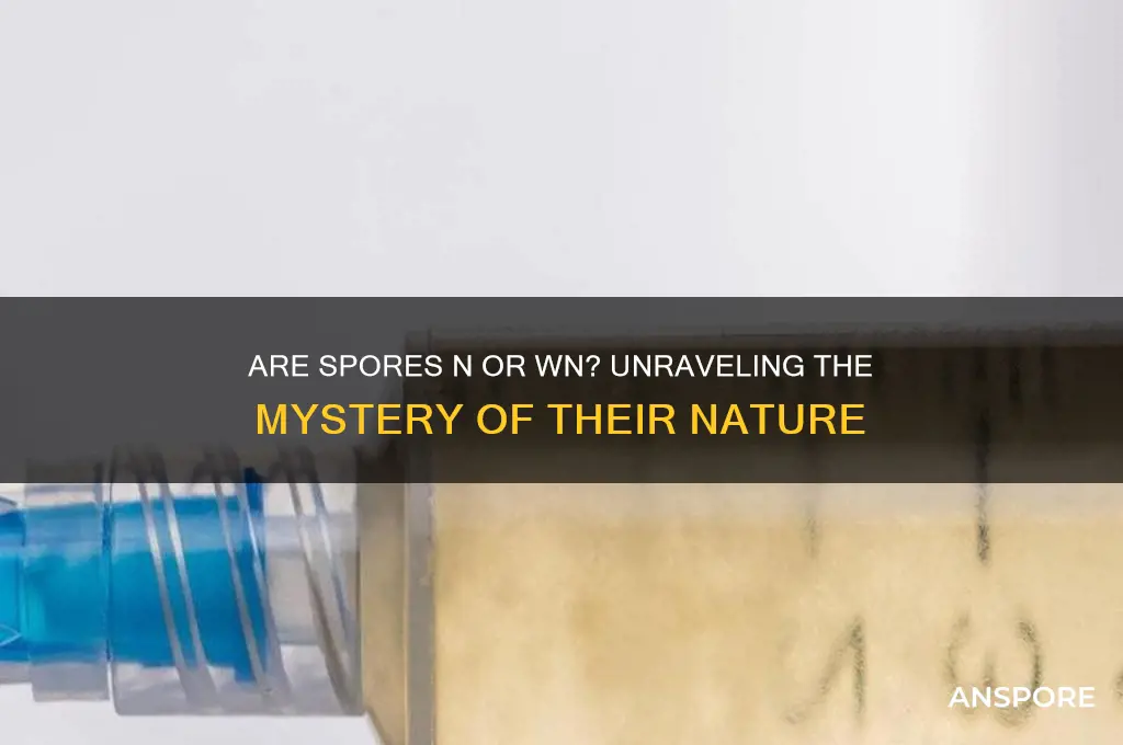 are spores n or wn