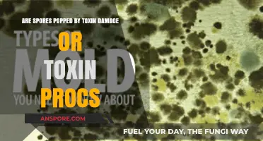 Toxin Damage vs. Procs: What Really Pops Spores?
