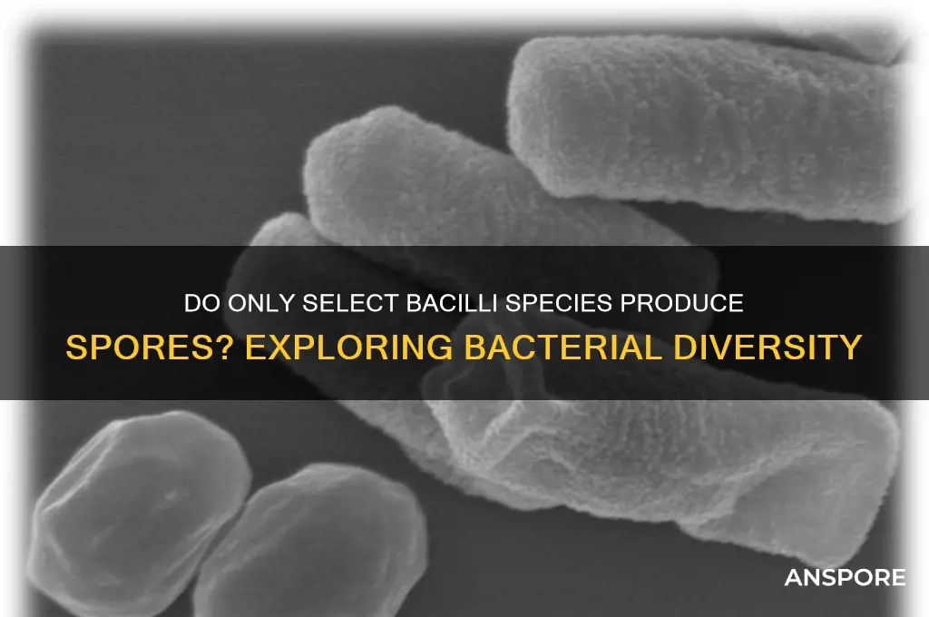 are spores produced by only a few bacilli