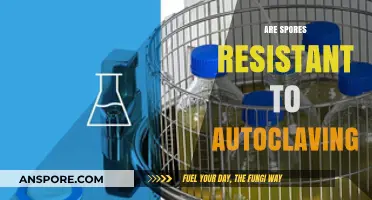 Can Spores Survive Autoclaving? Uncovering Resistance and Sterilization Limits