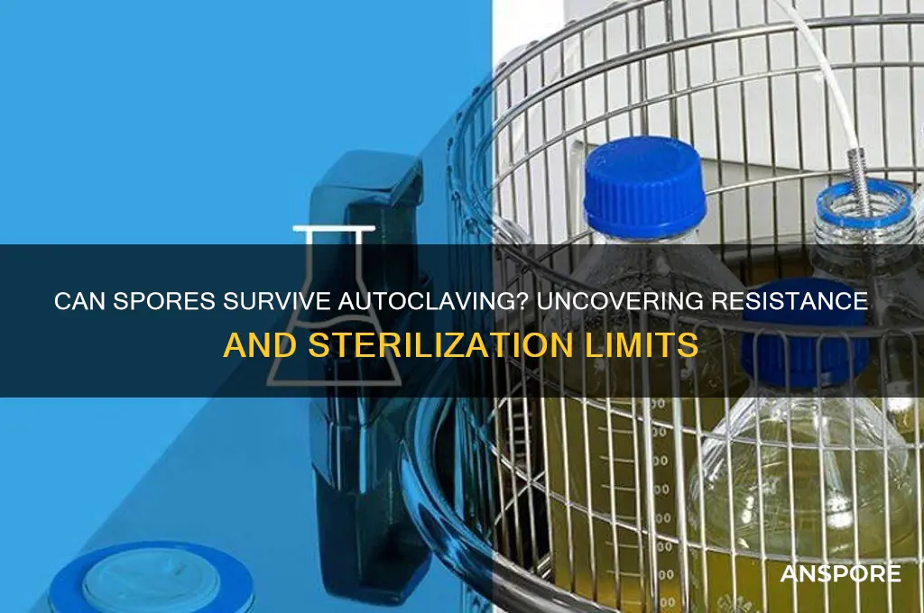 are spores resistant to autoclaving
